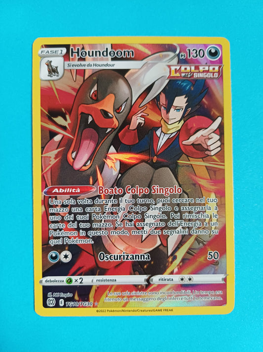 Houndoom 10